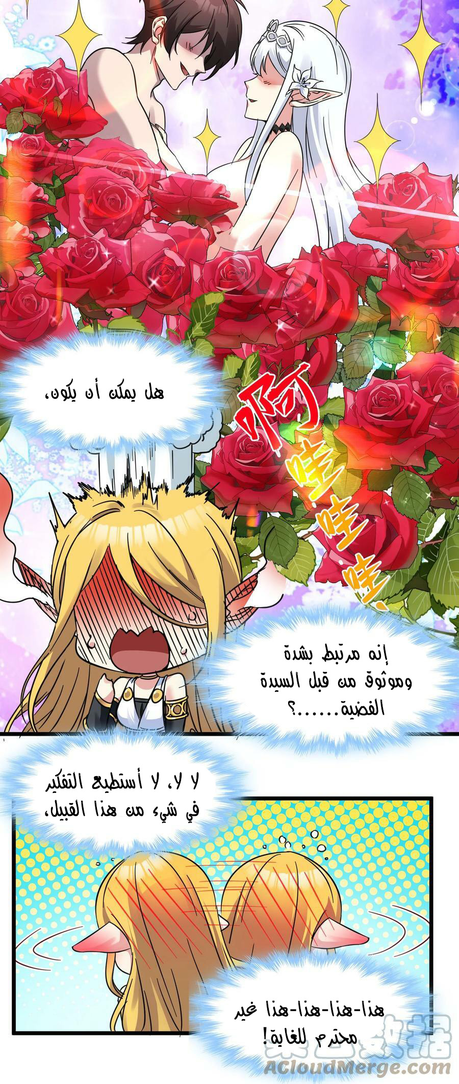 الصفحة 13