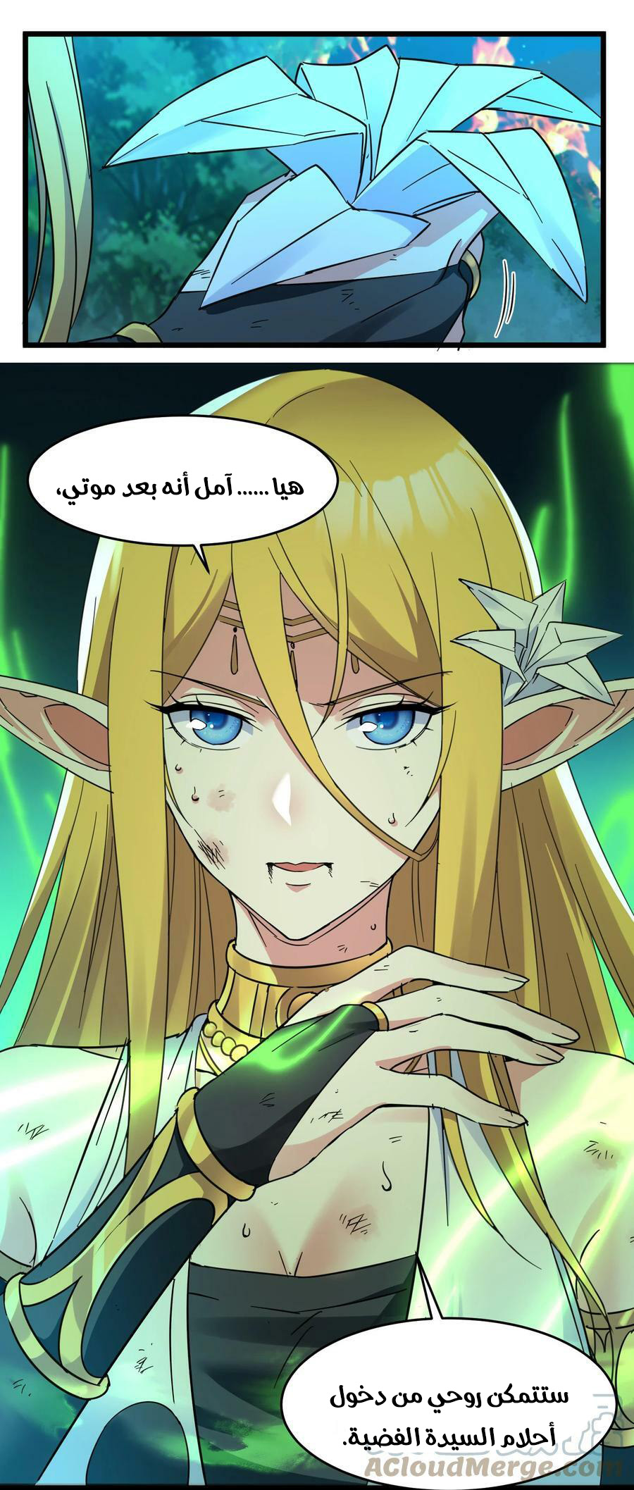 الصفحة 16