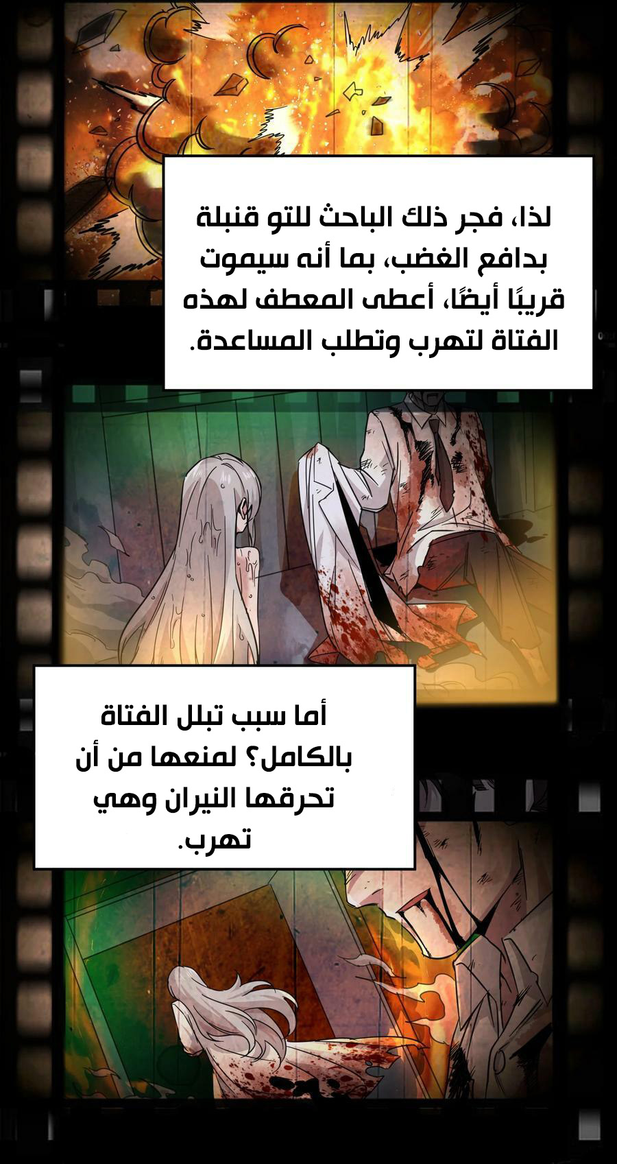 الصفحة 17