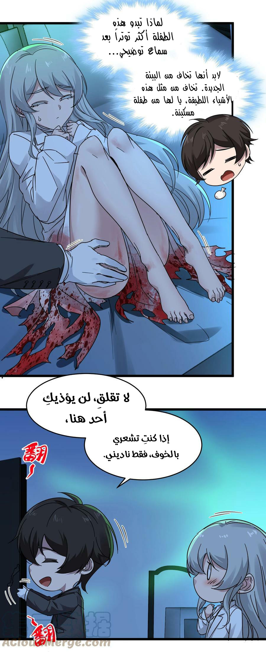 الصفحة 29