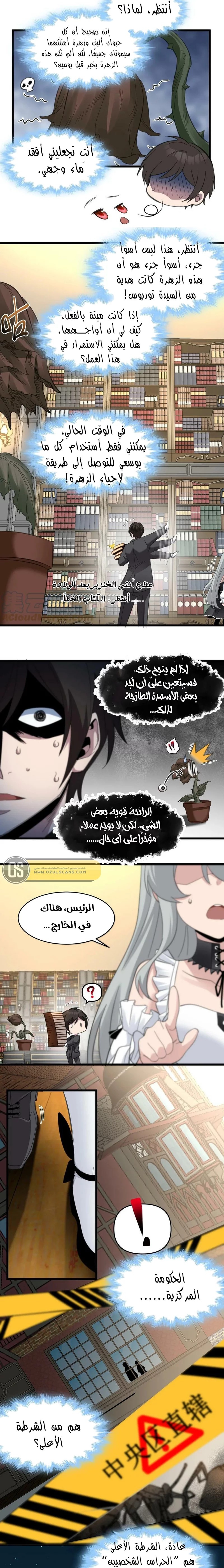 الصفحة 11