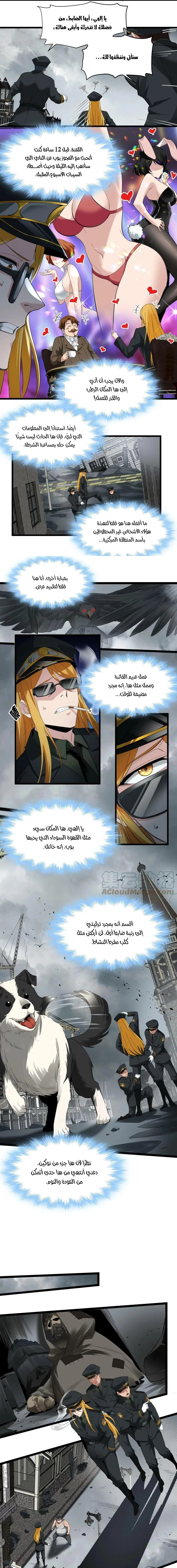الصفحة 3