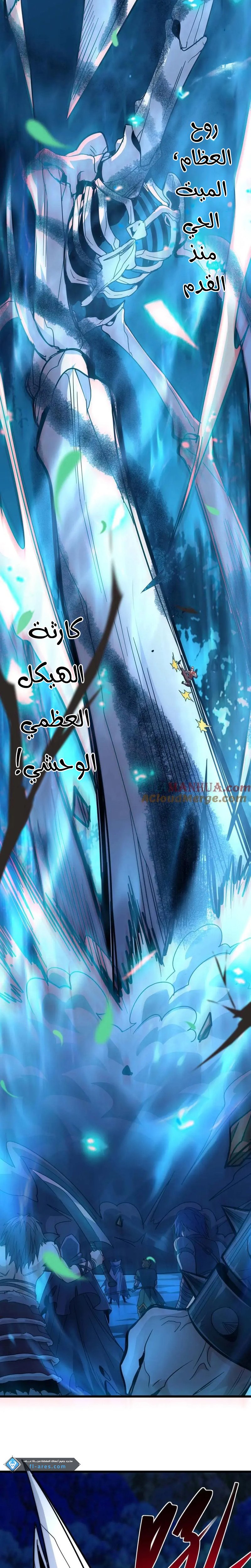 الصفحة 17