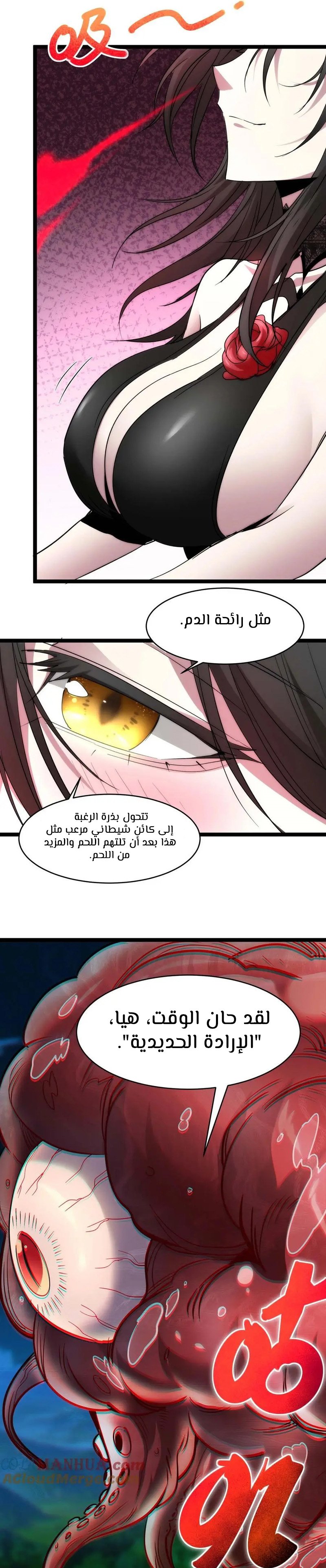 الصفحة 16