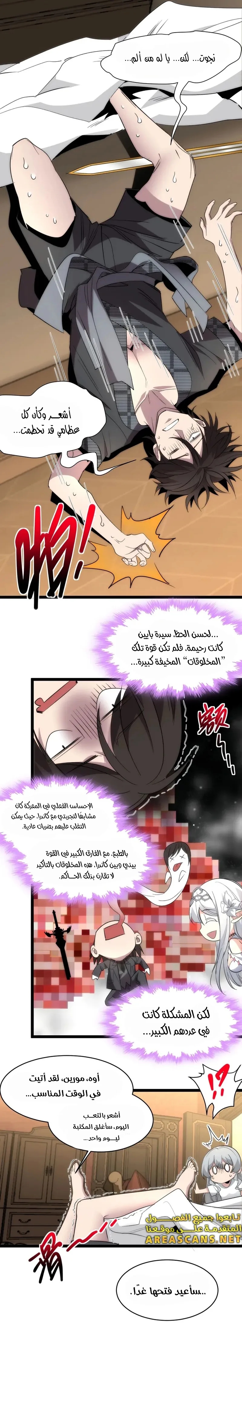 الصفحة 13