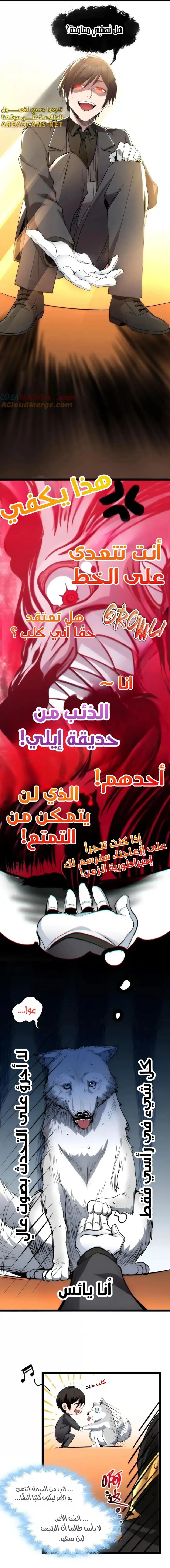 الصفحة 11