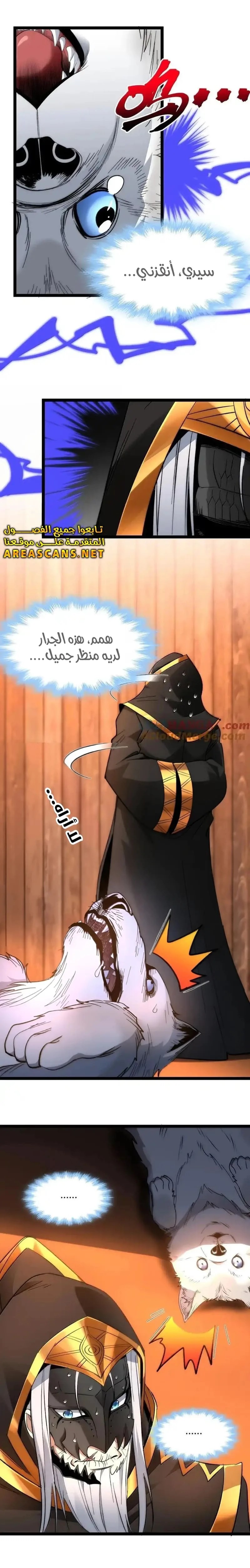 الصفحة 13