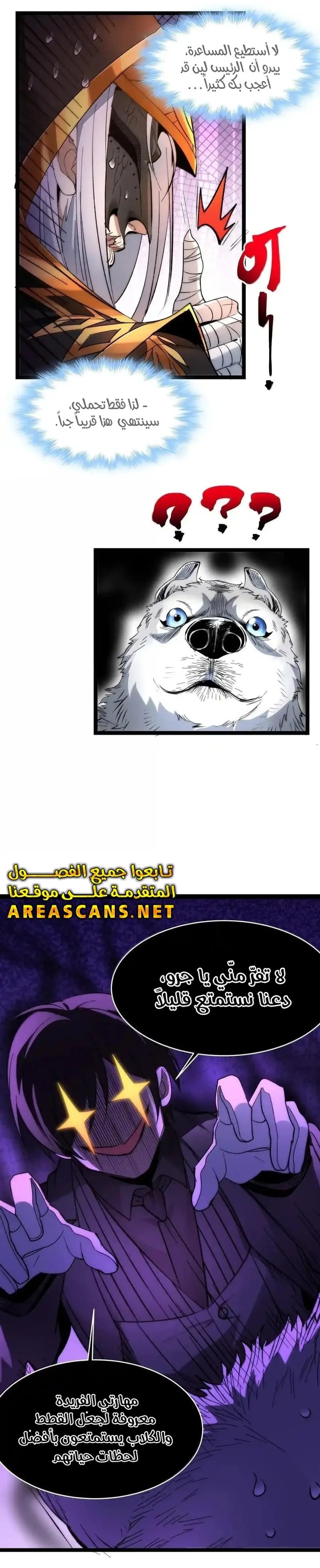 الصفحة 14