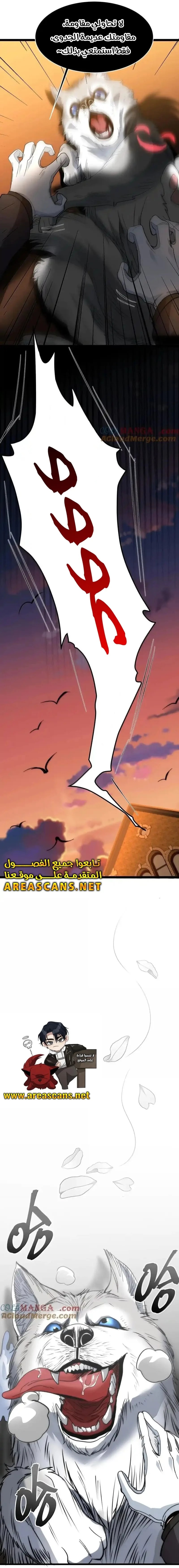 الصفحة 15