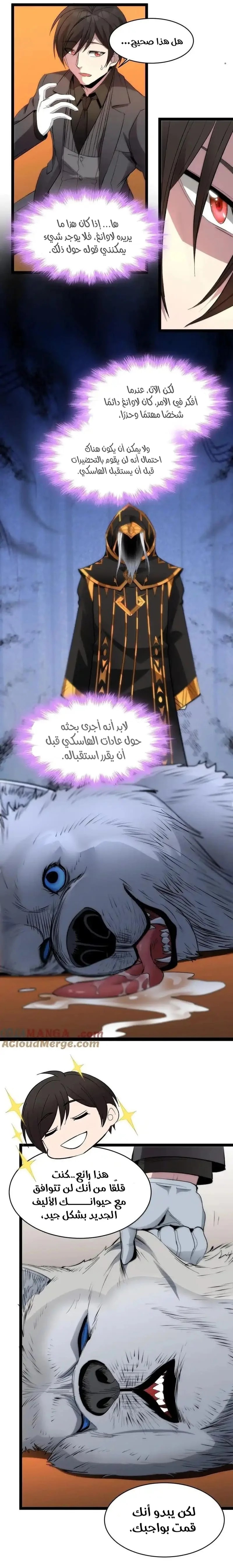 الصفحة 19