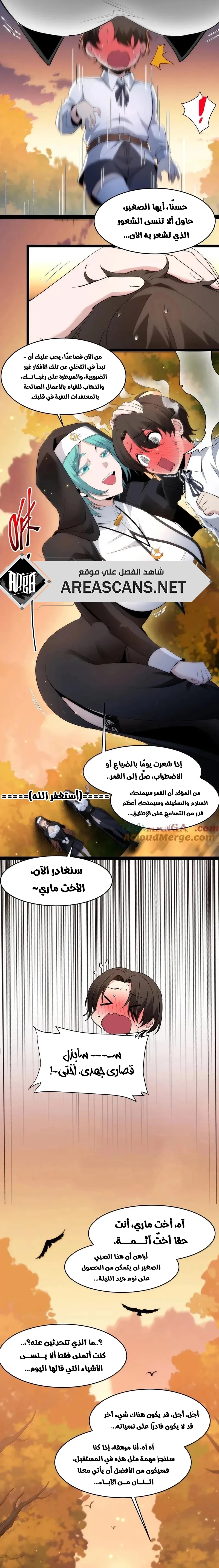 الصفحة 13