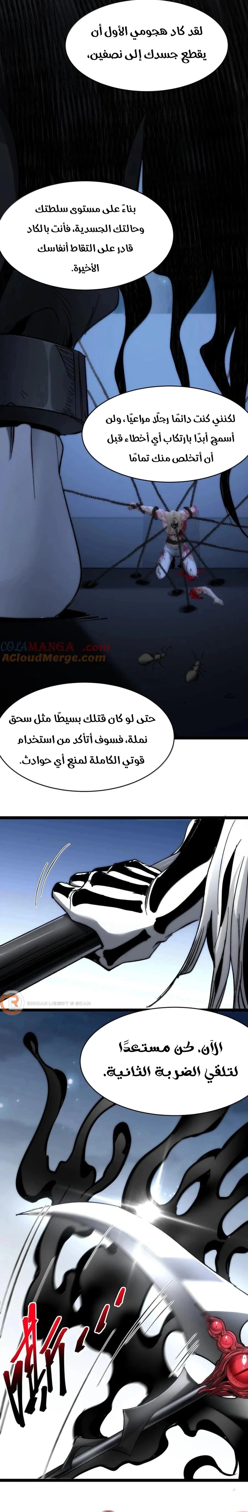 الصفحة 17