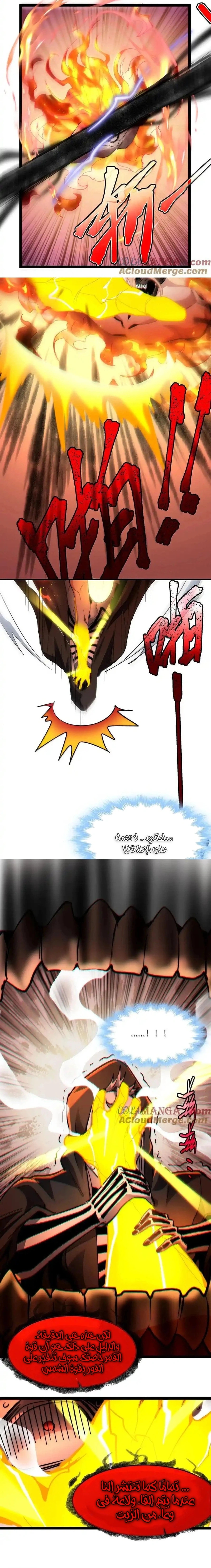الصفحة 14