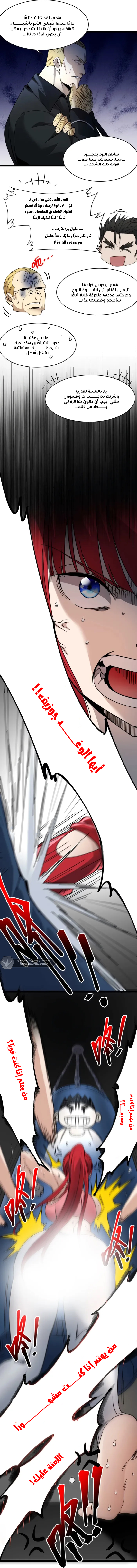 الصفحة 17