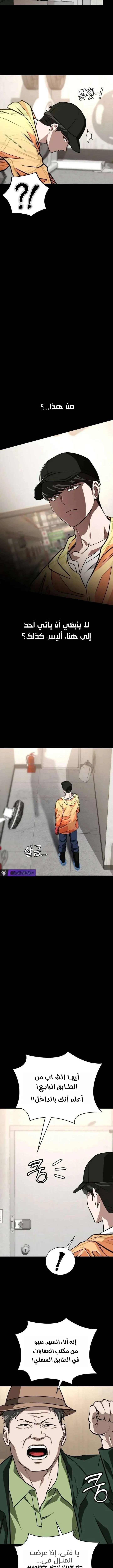 الصفحة 13