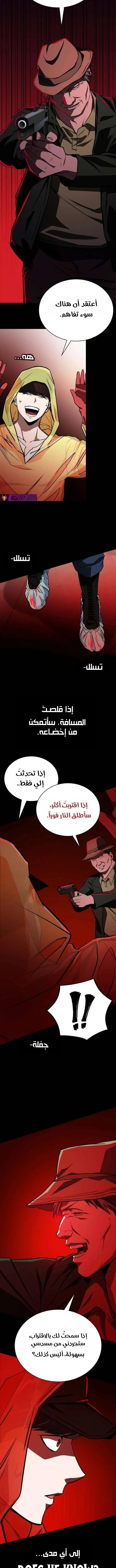 الصفحة 17
