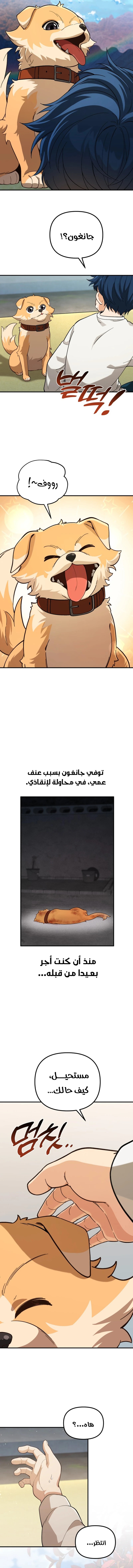 الصفحة 11