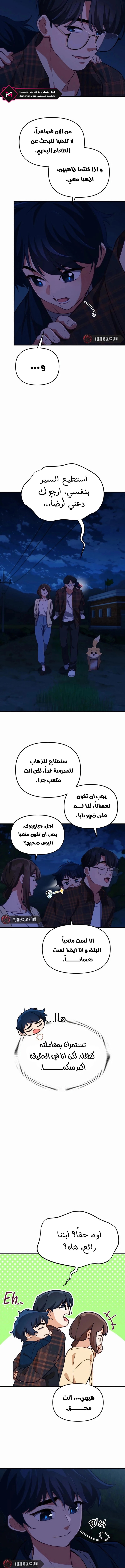 الصفحة 13