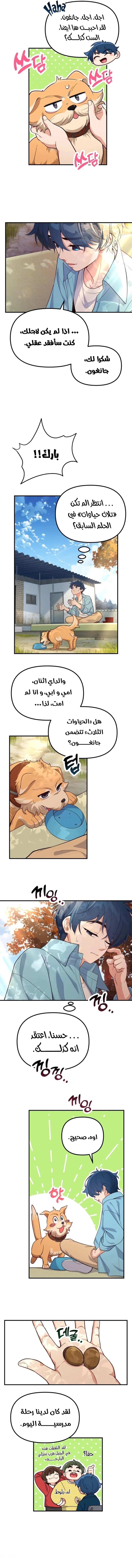 الصفحة 2