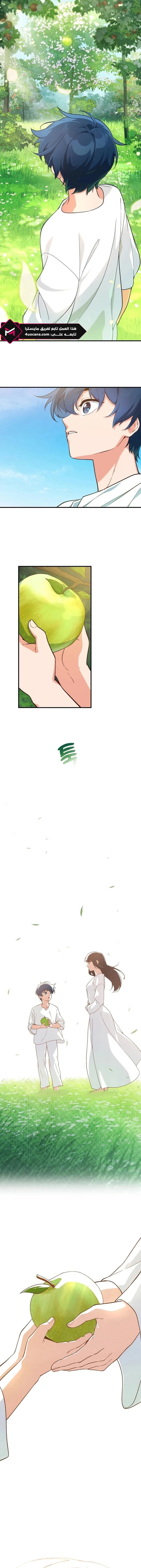 الصفحة 13