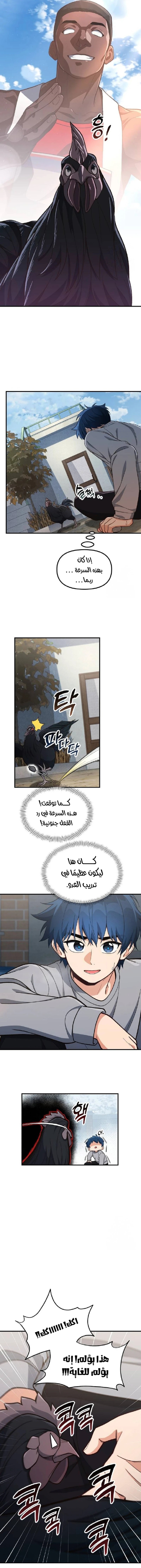 الصفحة 5