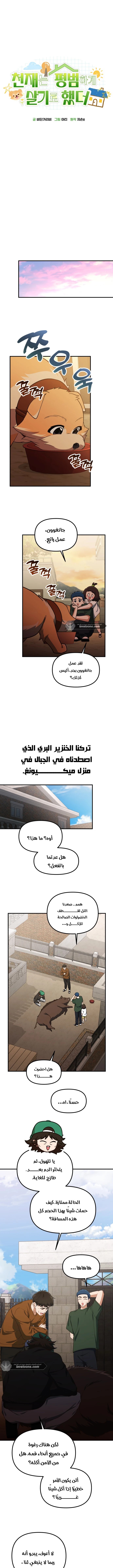 الصفحة 8