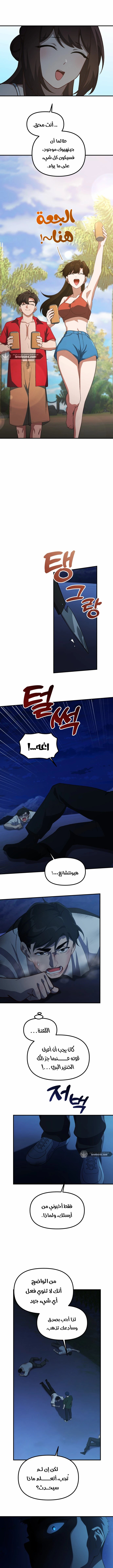 الصفحة 11