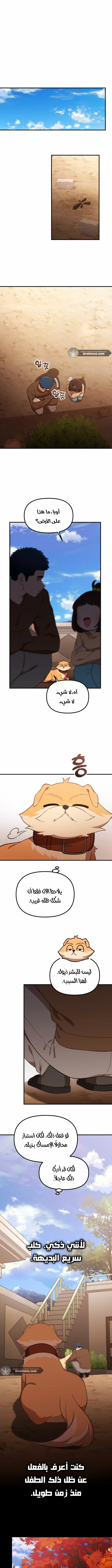 الصفحة 2