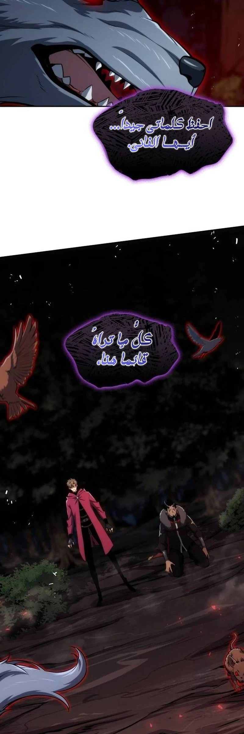 الصفحة 5