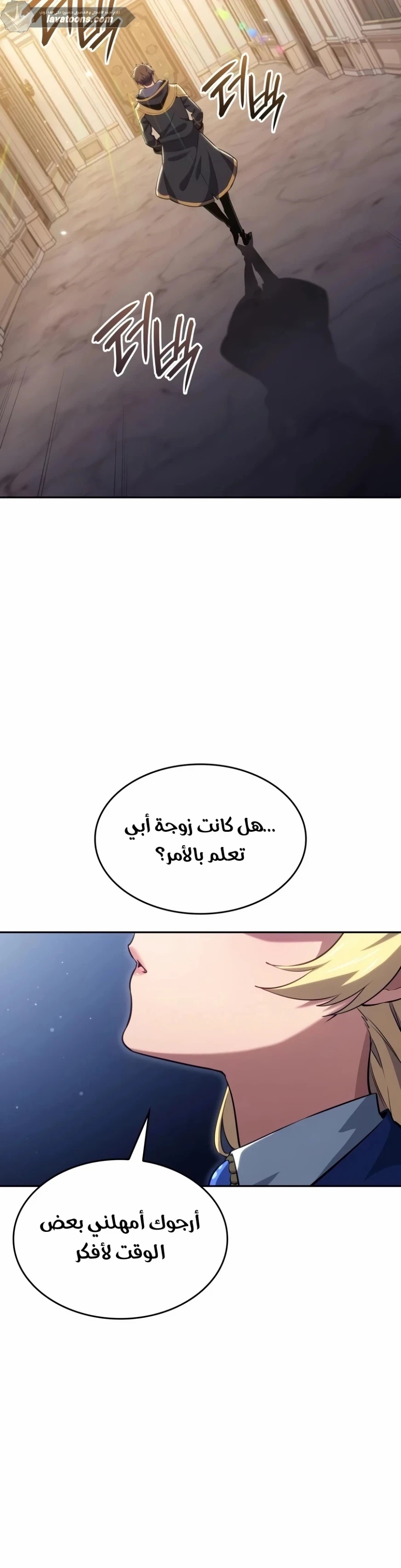 الصفحة 13
