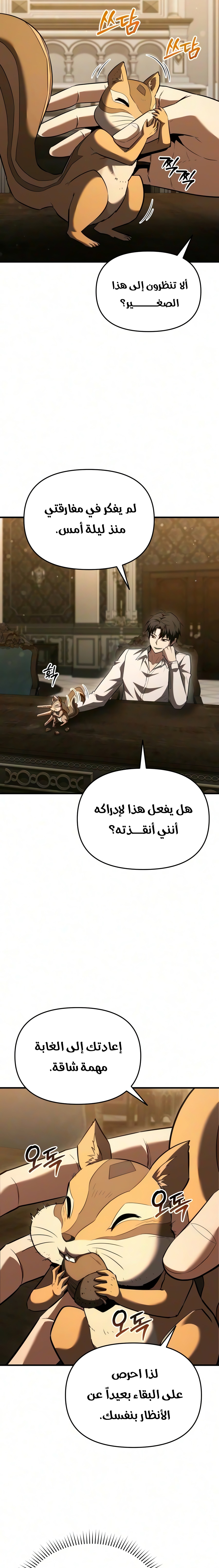 الصفحة 13
