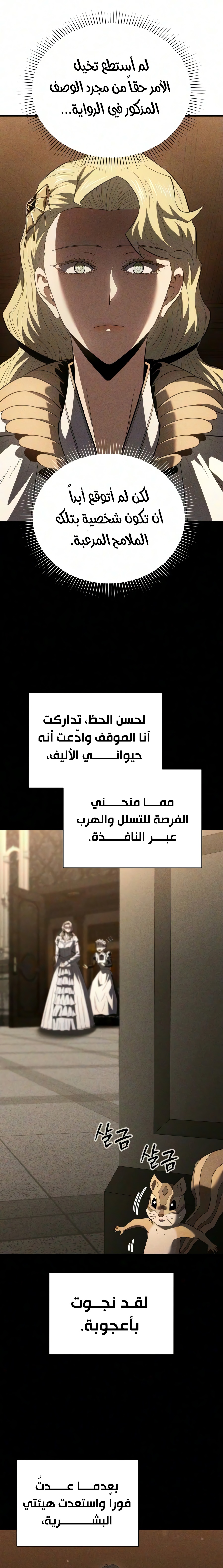 الصفحة 16