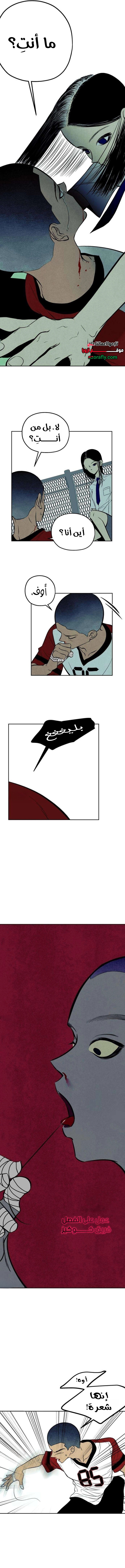 الصفحة 9