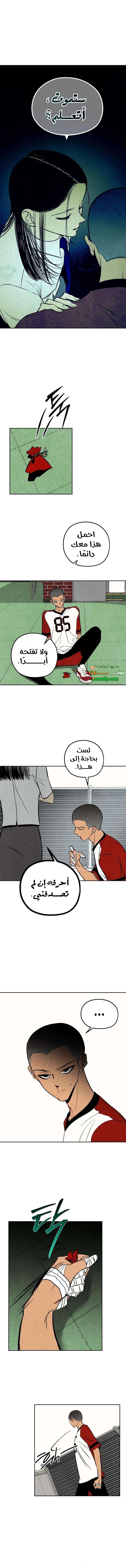الصفحة 14