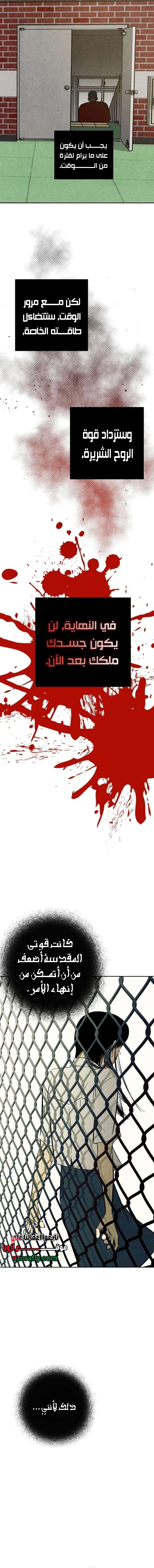 الصفحة 16