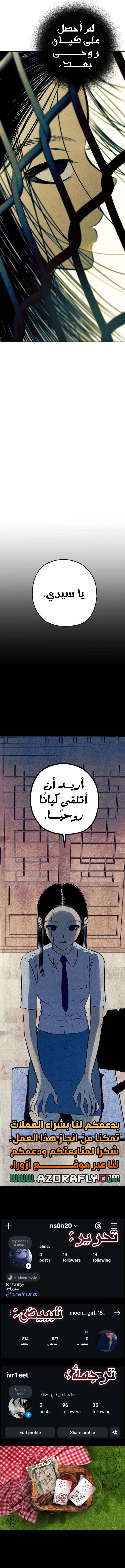 الصفحة 17