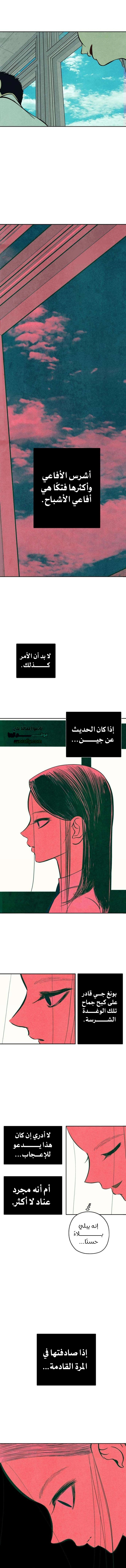 الصفحة 11