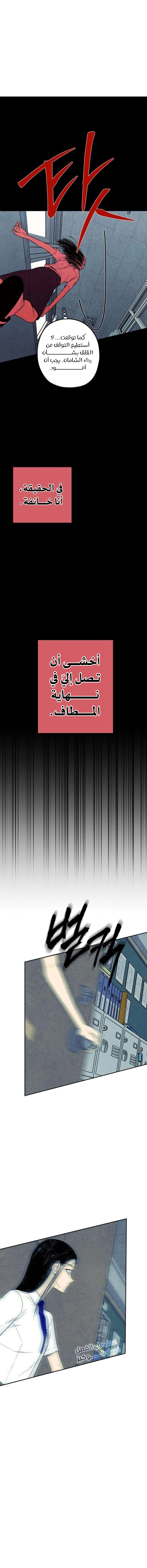 الصفحة 14