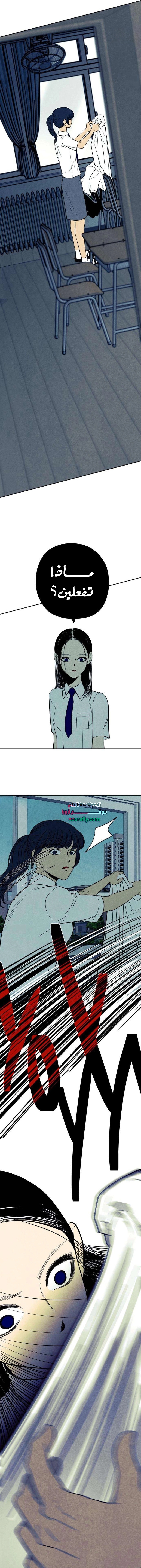الصفحة 15