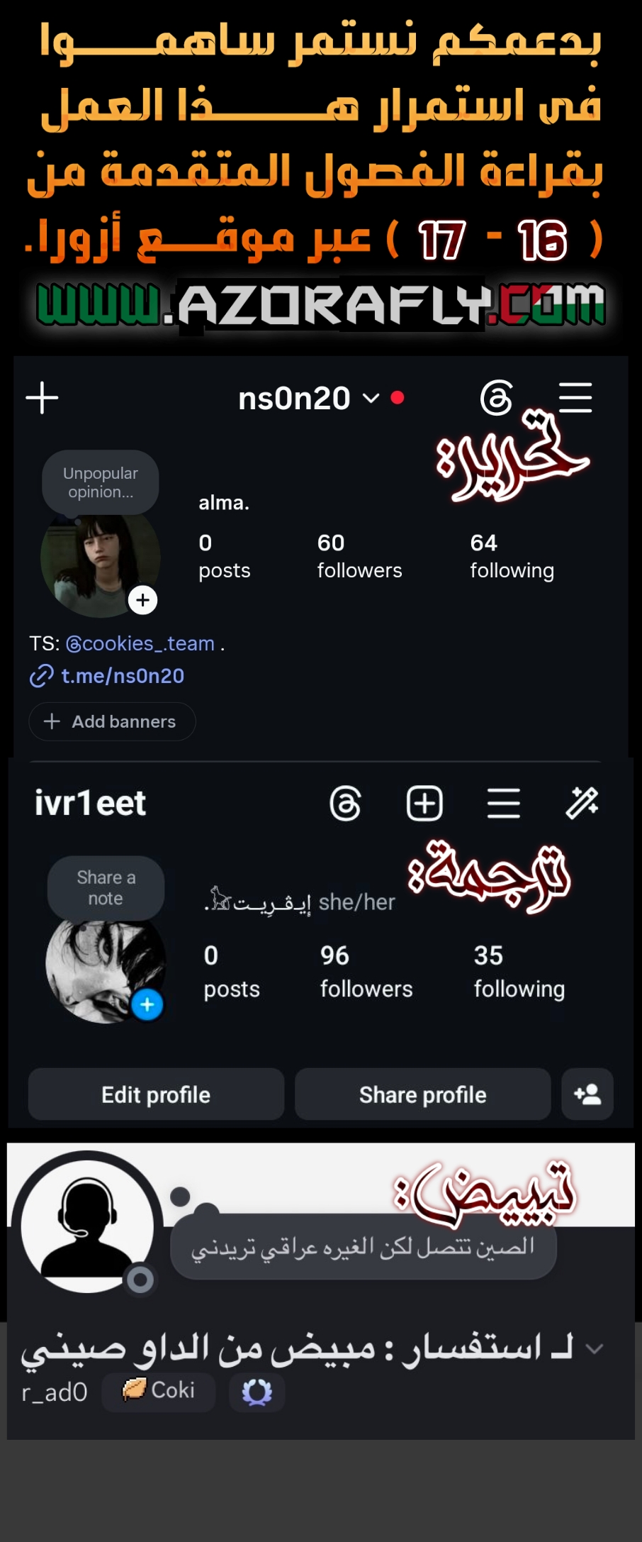 الصفحة 17