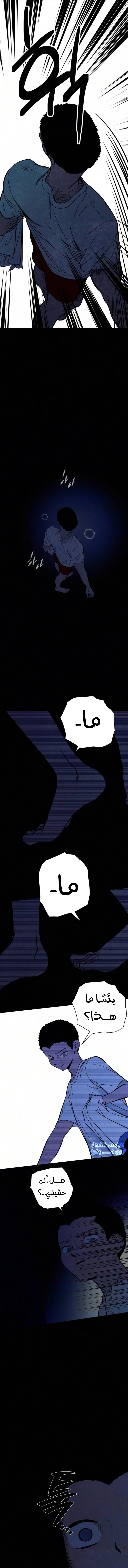 الصفحة 17