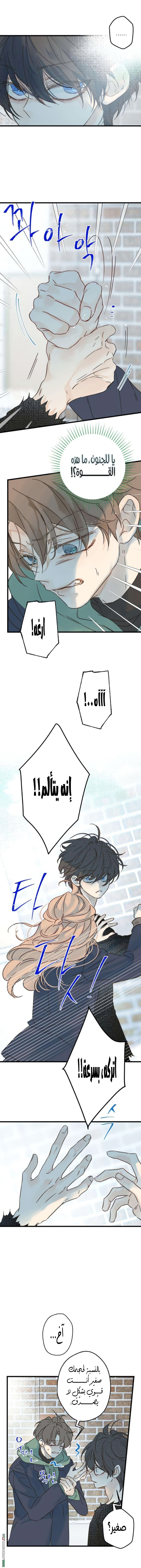 الصفحة 2