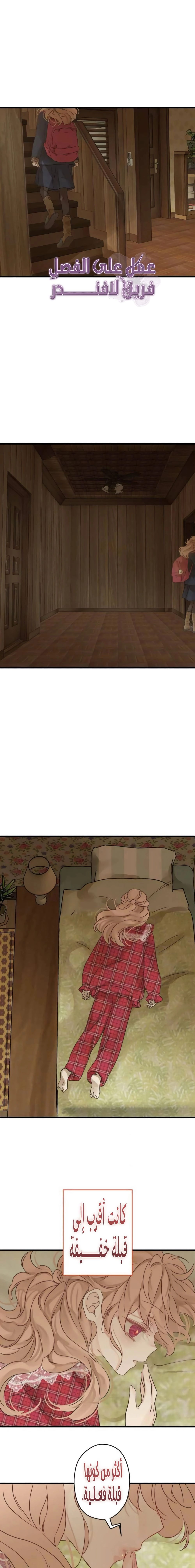 الصفحة 14