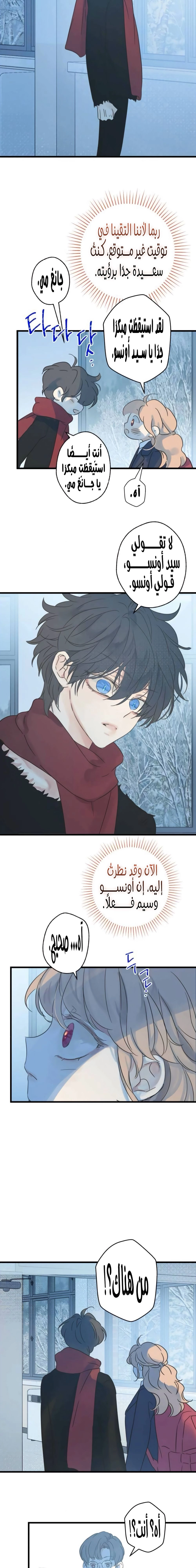 الصفحة 17