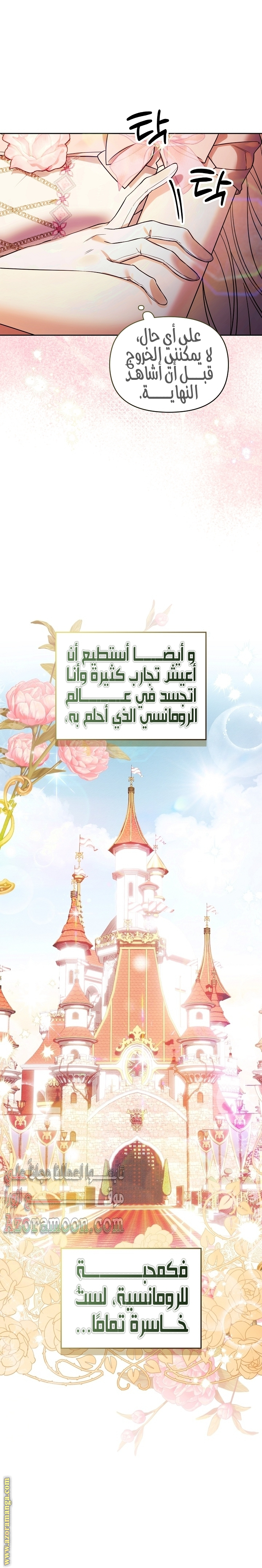 الصفحة 17