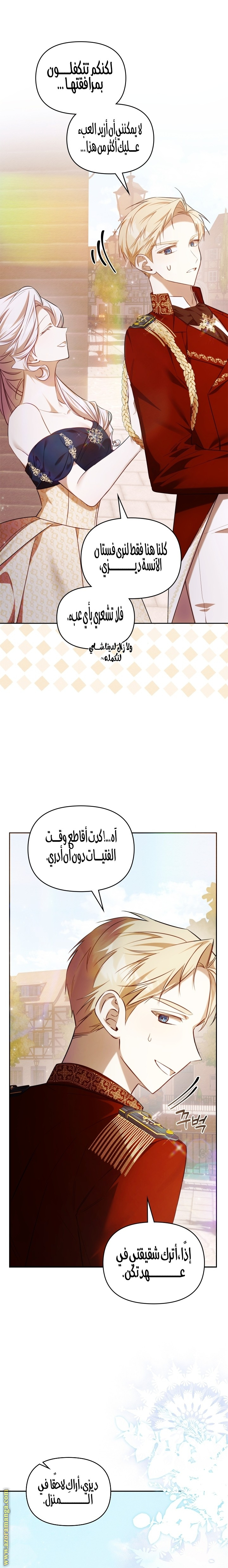 الصفحة 17