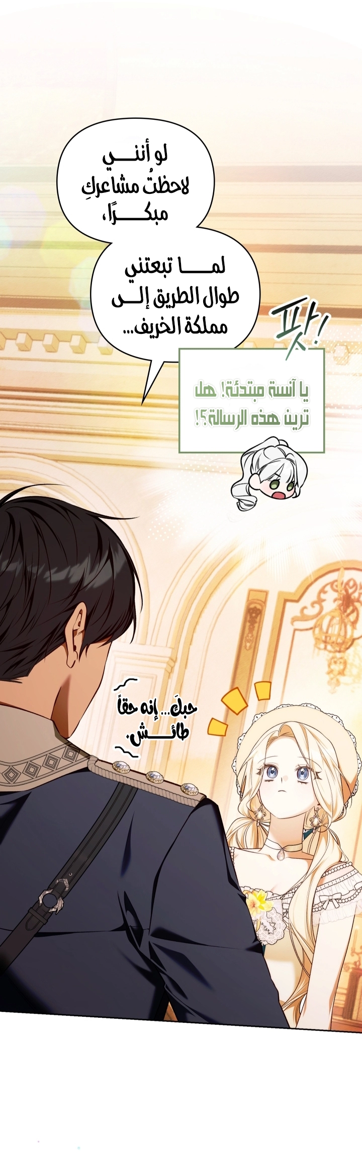 الصفحة 13