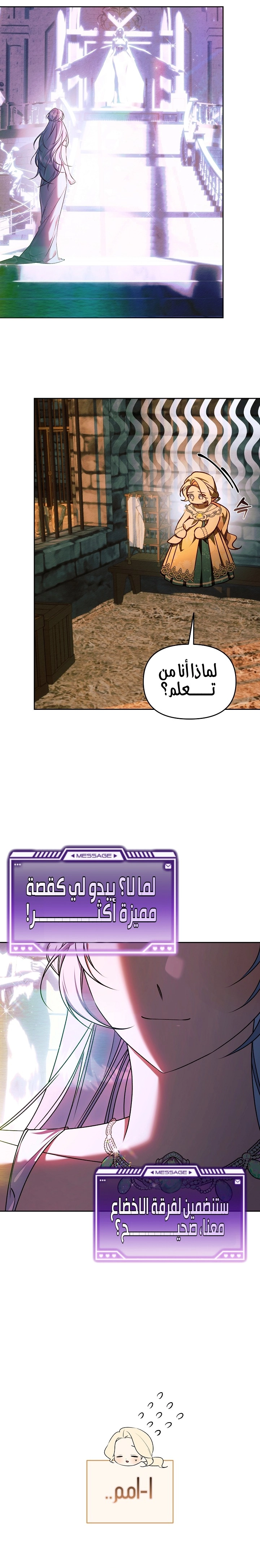 الصفحة 17