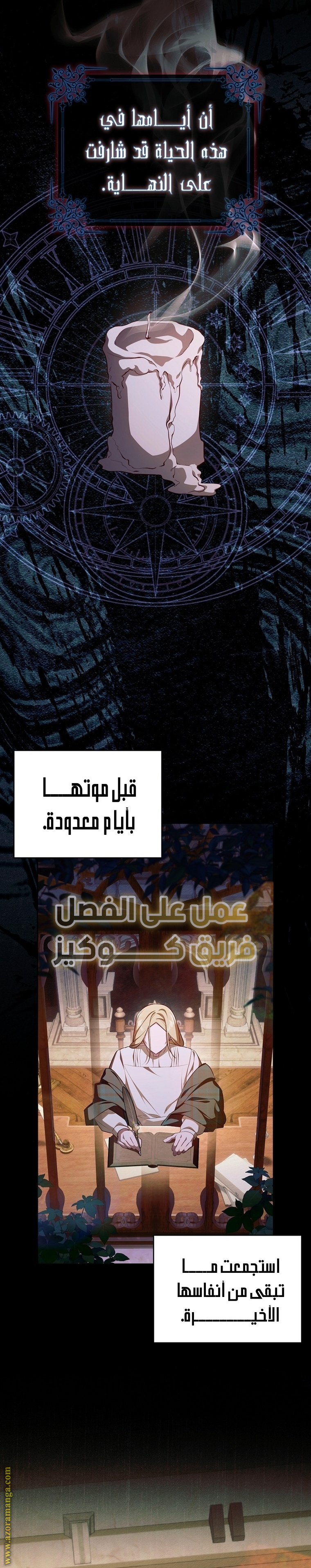 الصفحة 3