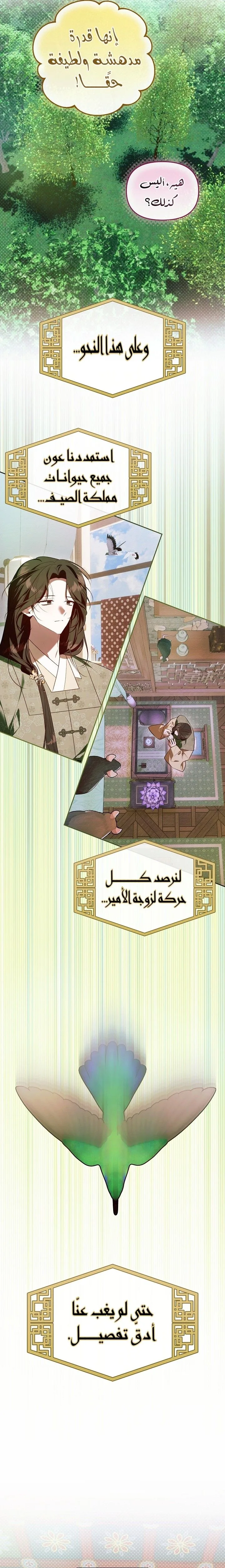 الصفحة 16
